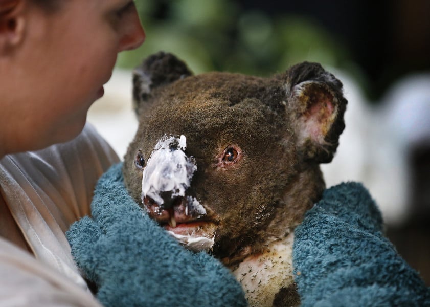 Counting the cost of Australia’s tragic bushfire crisis
