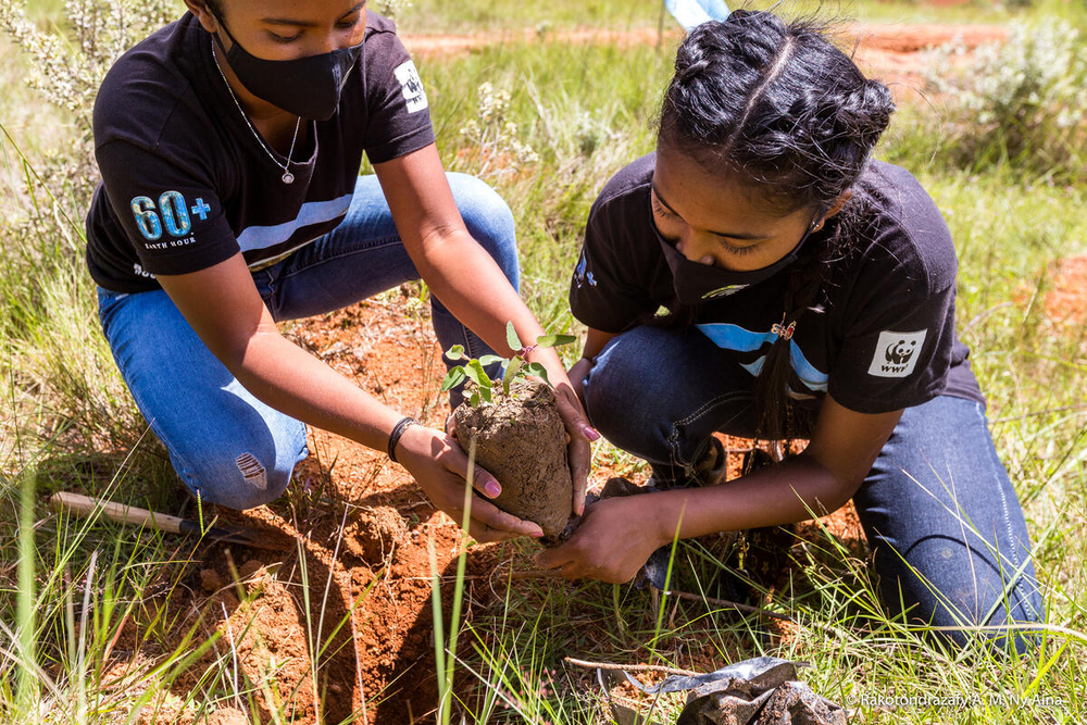 Earth Hour 2021 breaks all records calling for action in crucial year for climate, people and nature