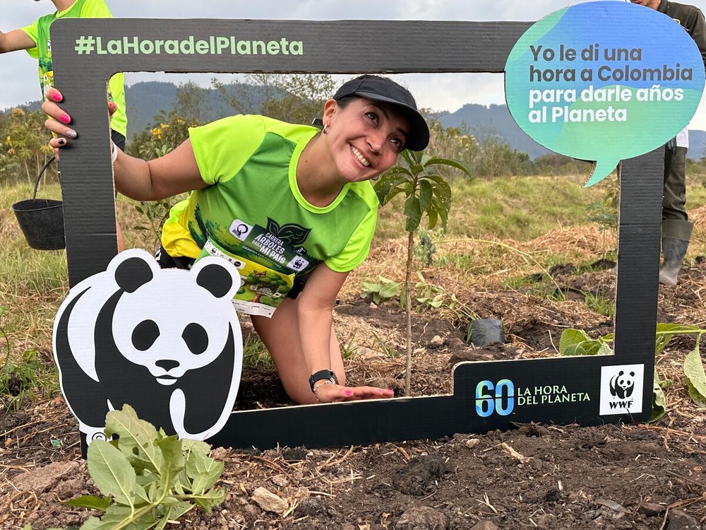 Earth Hour 2024 sees millions unite around the world in support and celebration of our planet, with more than 1.4 million hours given for the planet.